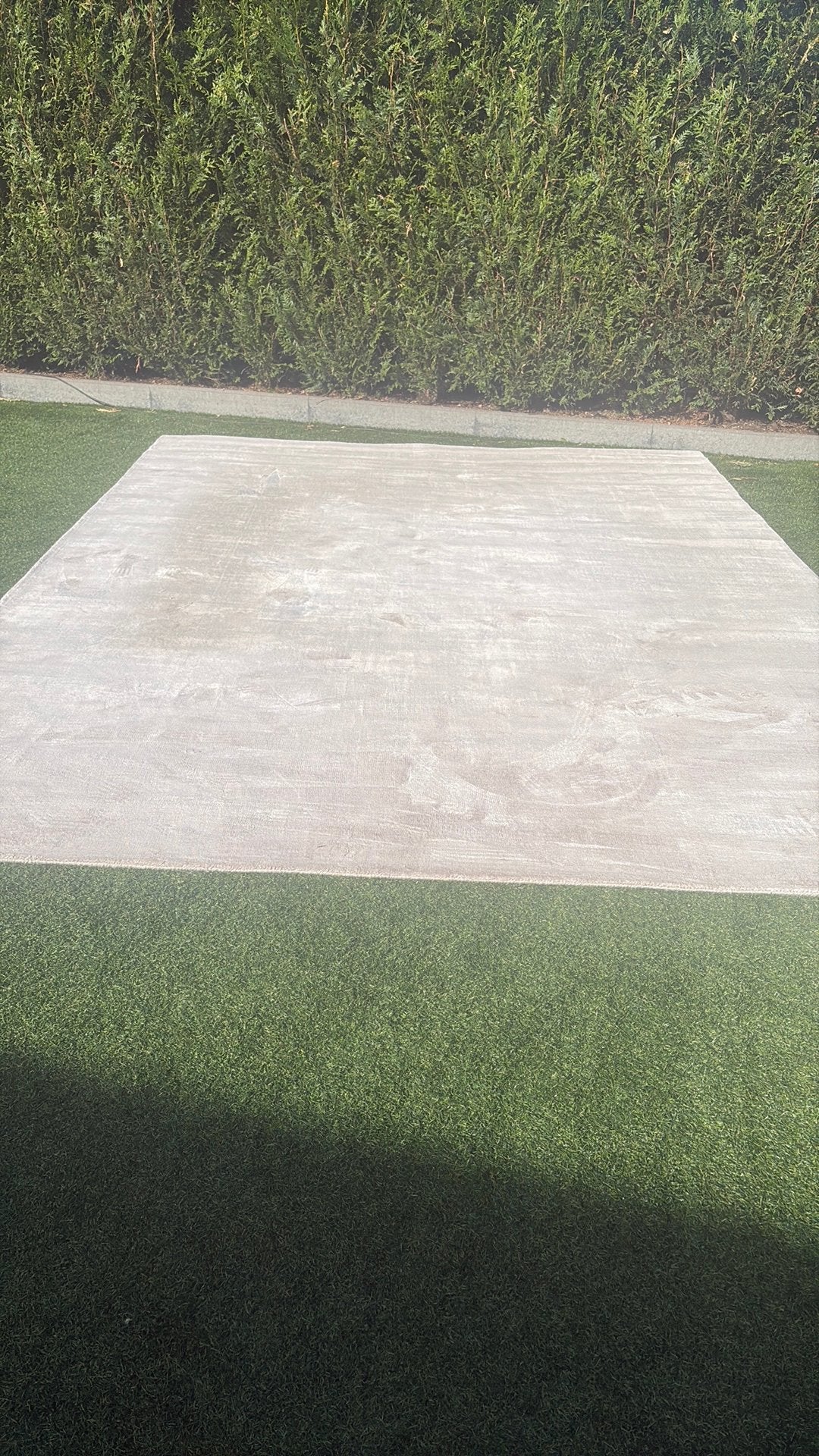 Vloerkleed, Ophalen, Gebruikt, Beige, 200 cm of meer