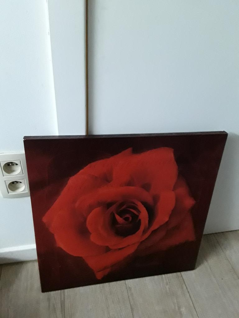 Decoratieve, Ophalen