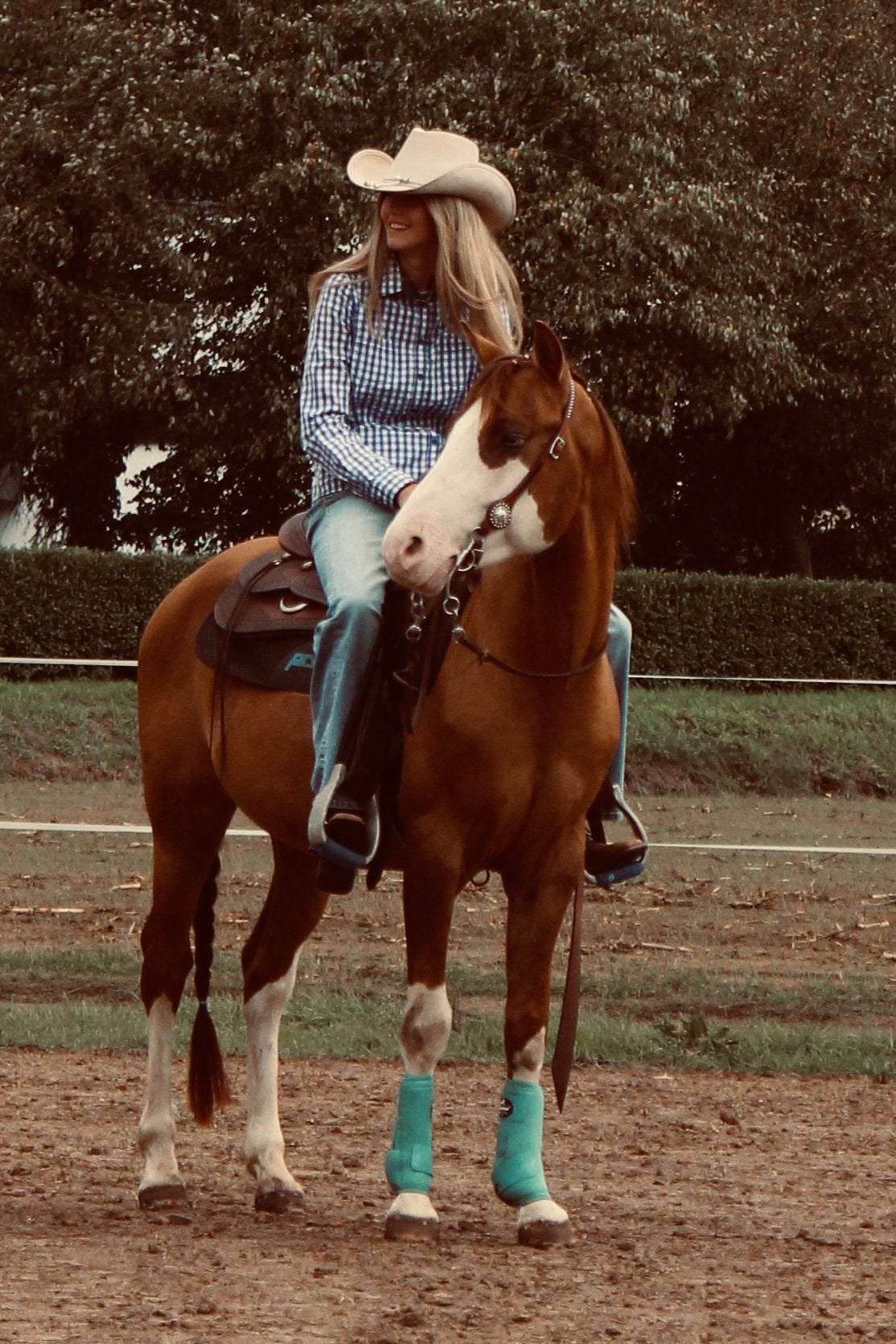 Westernzadel gezocht, Enlèvement ou Envoi, Comme neuf