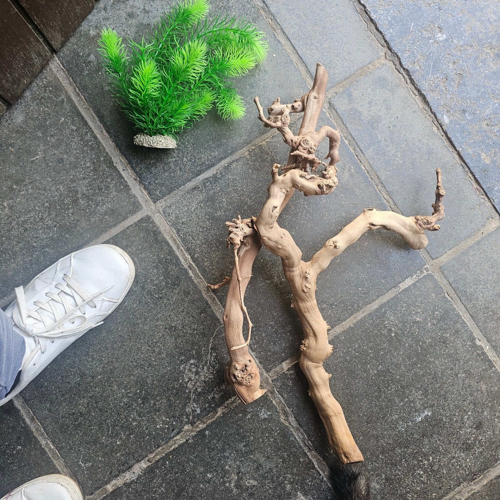 decoratie, Dieren en Toebehoren, Ophalen of Verzenden