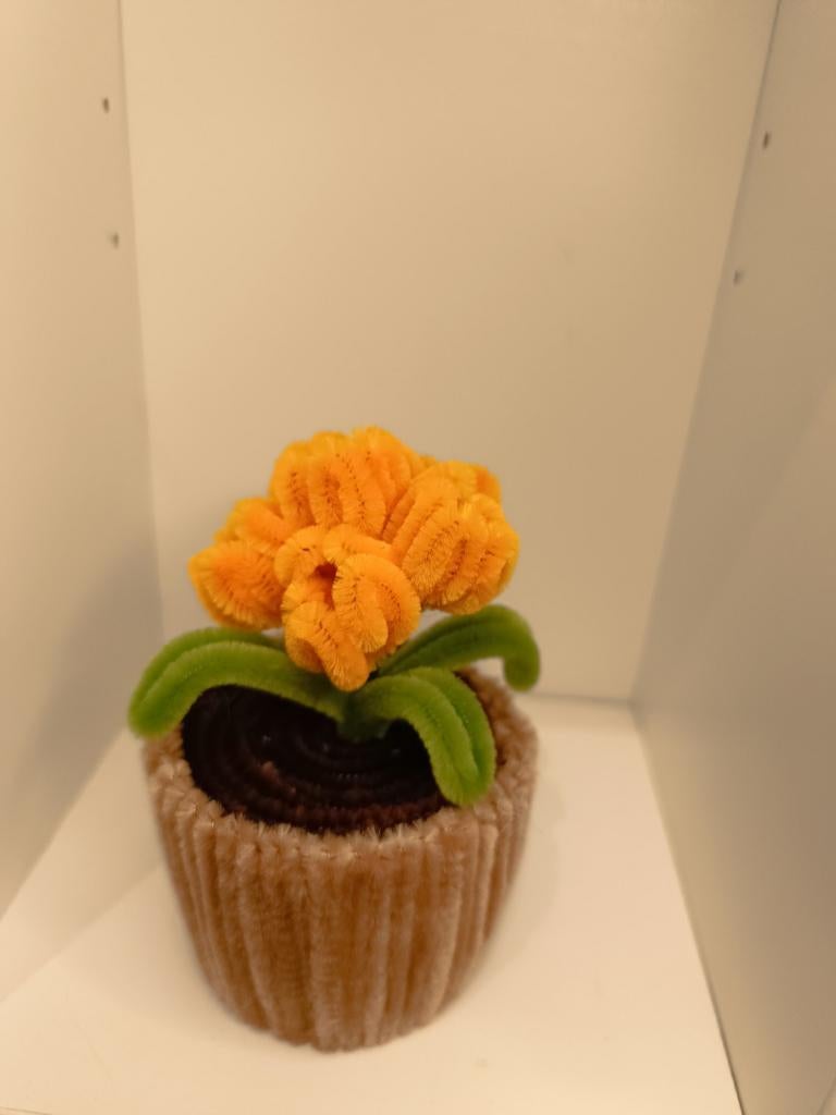 Tulpen potje, Ophalen of Verzenden