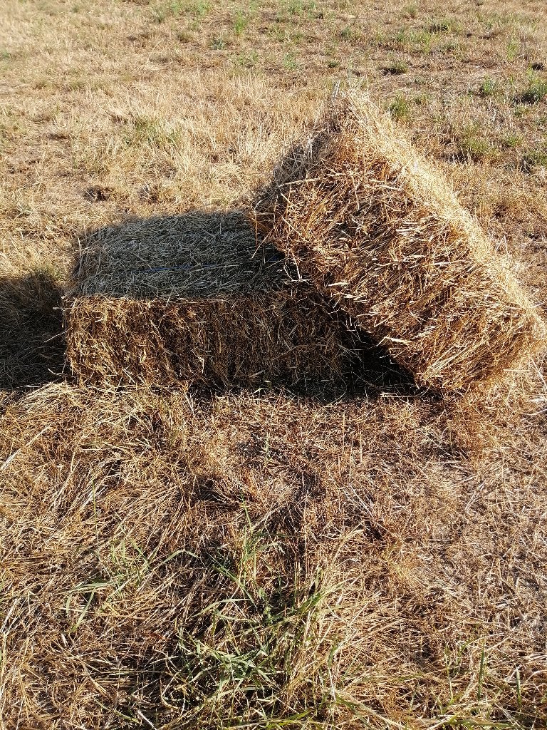 kleine balen hooi, Enlèvement, Autres espèces