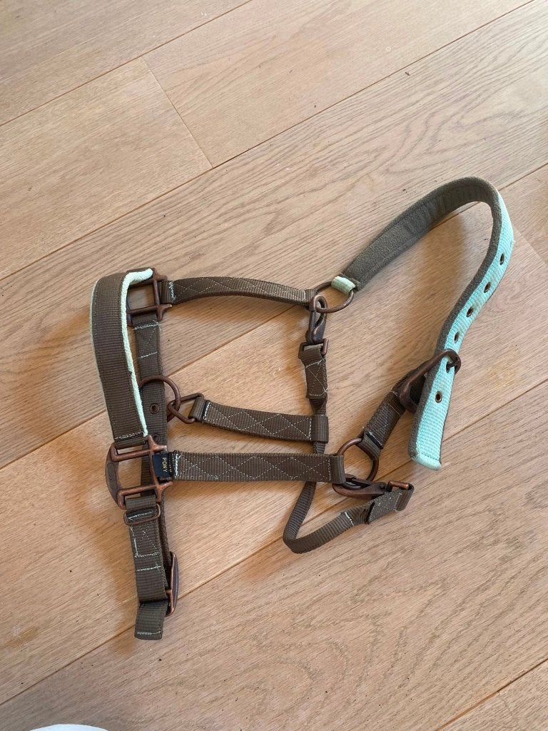 BR halster pony, Dieren en Toebehoren, Ophalen, Gebruikt, Overige disciplines, Meerkleurig