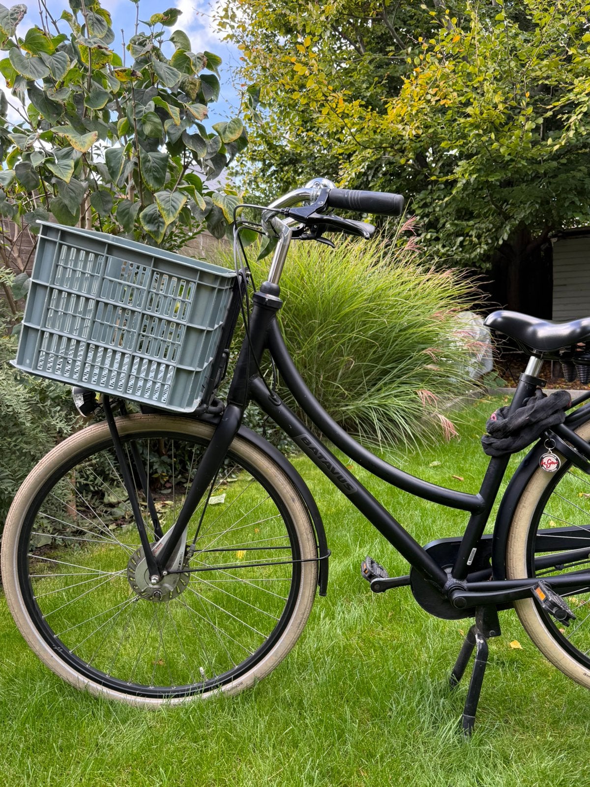 Damesfiets Batavus Packd 7, Ophalen, Gebruikt, Versnellingen, Batavus