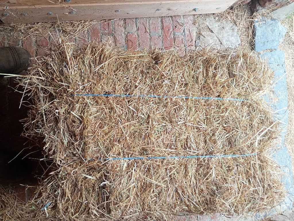 Kleine Balen droog hooi