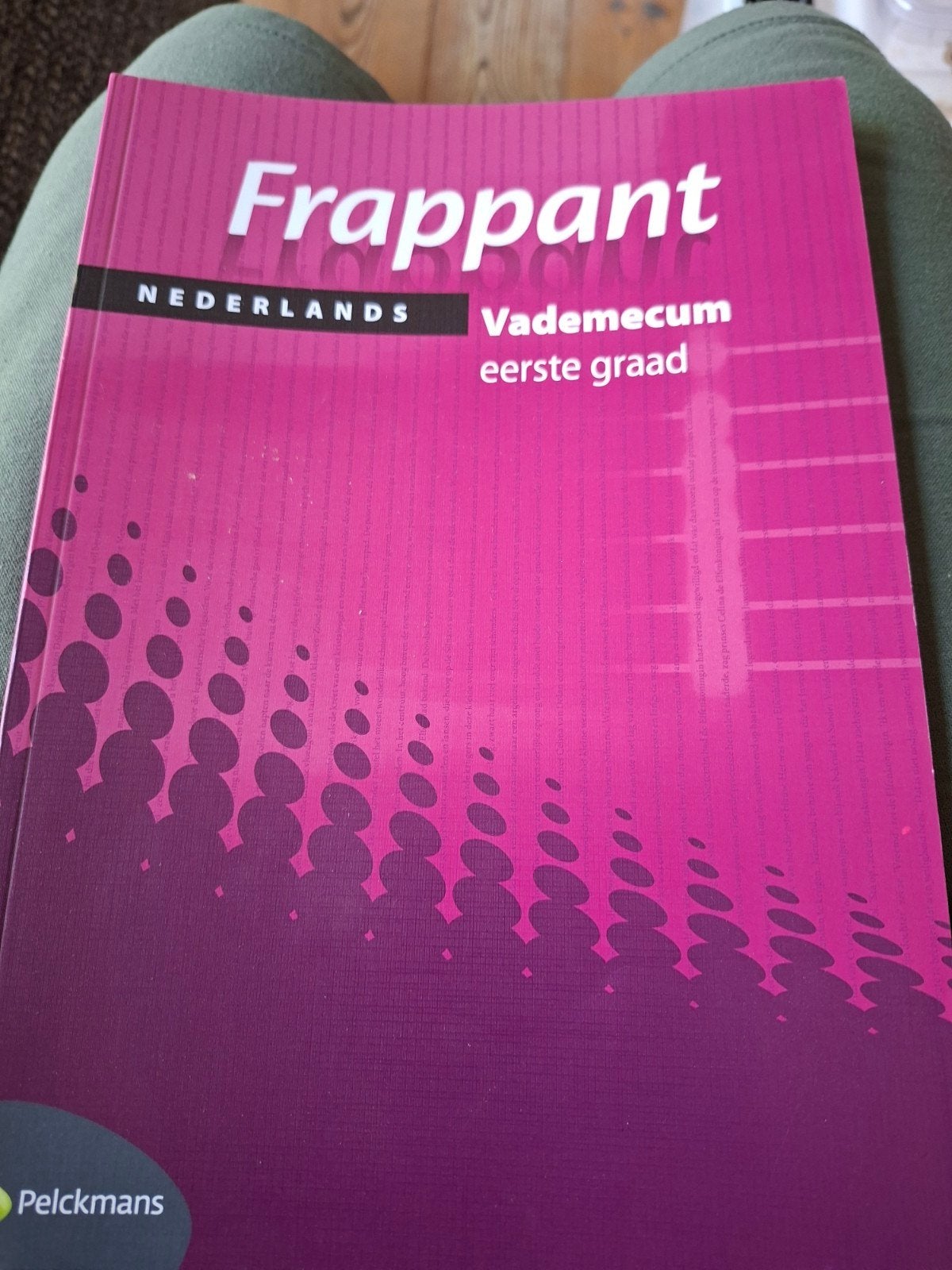 Frappant Nederlands 1e graad vademecum, Boeken, Ophalen, Nederlands