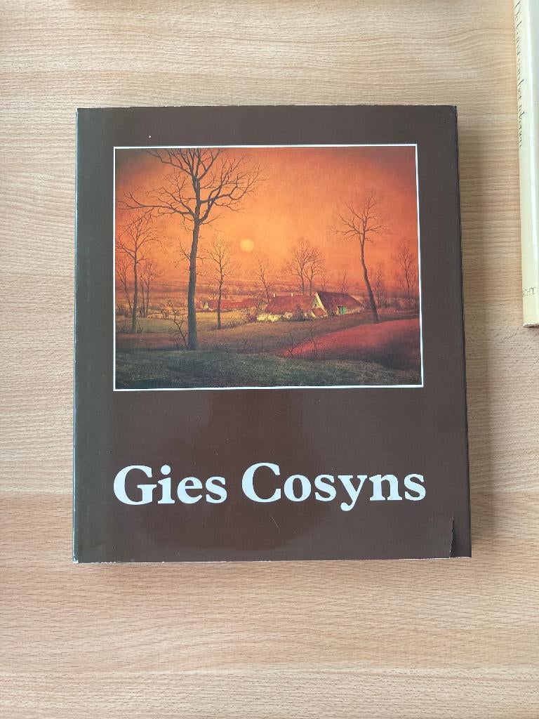 Schilderen / Tekenen / kunst boeken, Ophalen of Verzenden, Zo goed als nieuw, Schilder- en Tekenkunst