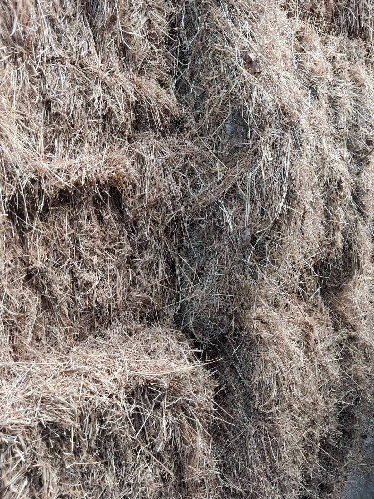 grote balen hooi, Zakelijke goederen, Landbouw | Veevoer, Ophalen
