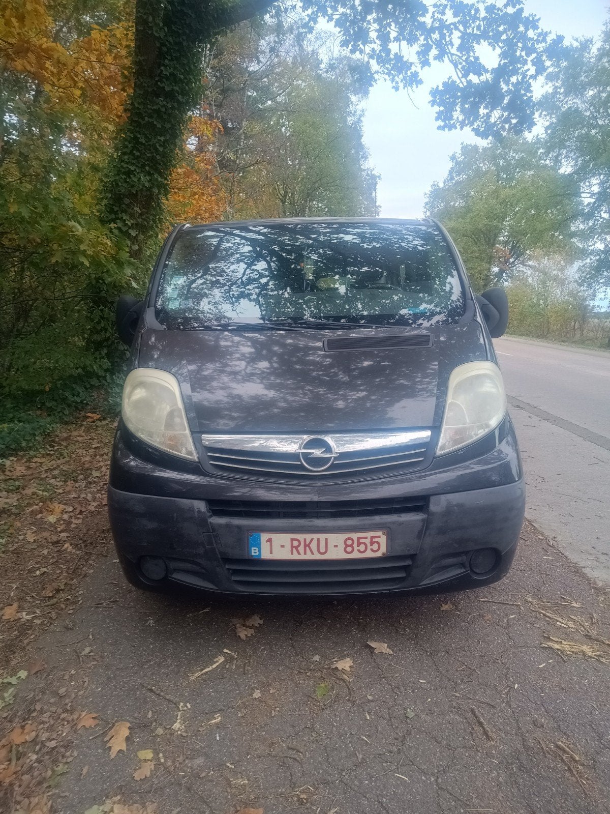 Opel Vivaro 2.0, Autos, Euro 5, Achat, Attache-remorque, 2000 kg