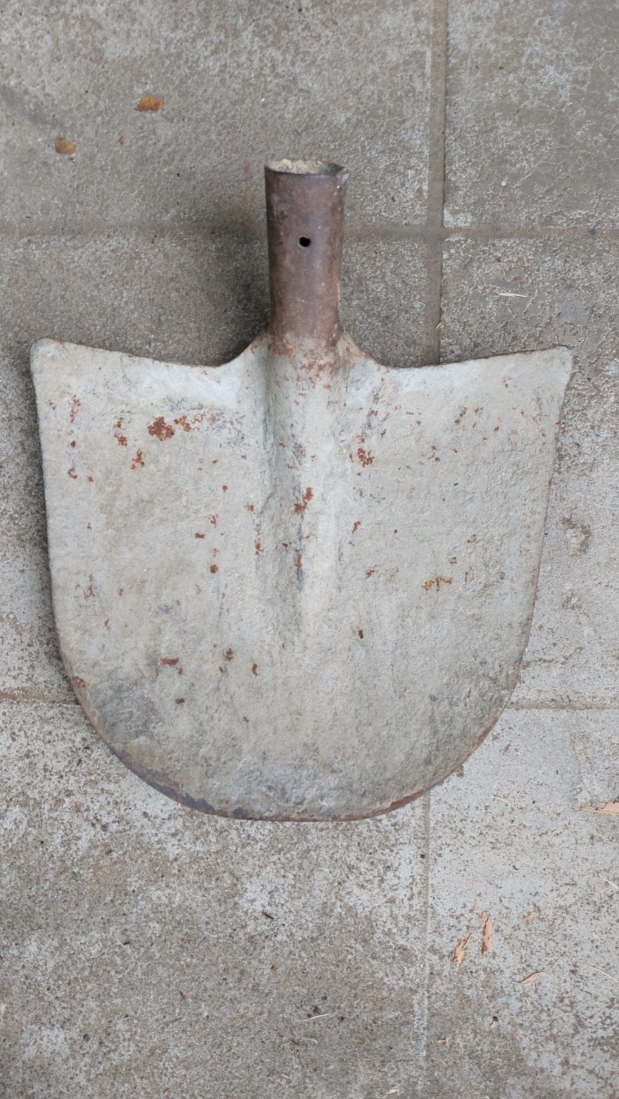 Tête de pelle ancienne, à brosser, Jardin & Terrasse, Outils à main, Enlèvement, Utilisé, Pelle