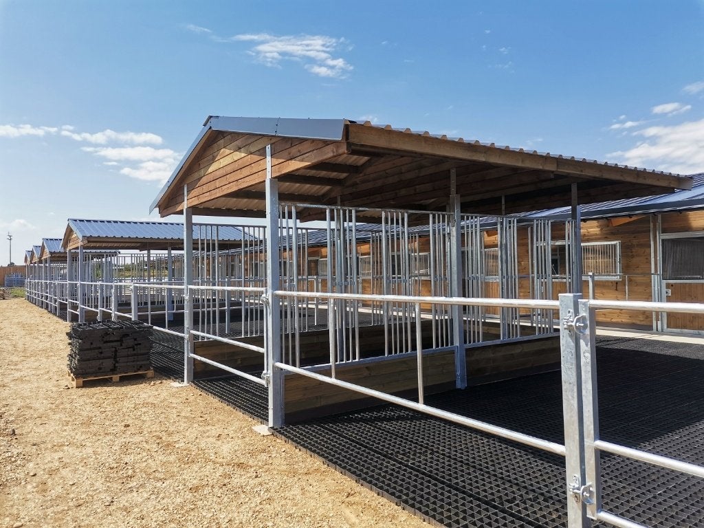 Hooiruiven voor paarden & Robuuste Paardenhooiruiven kopen, Dieren en Toebehoren, Opfok