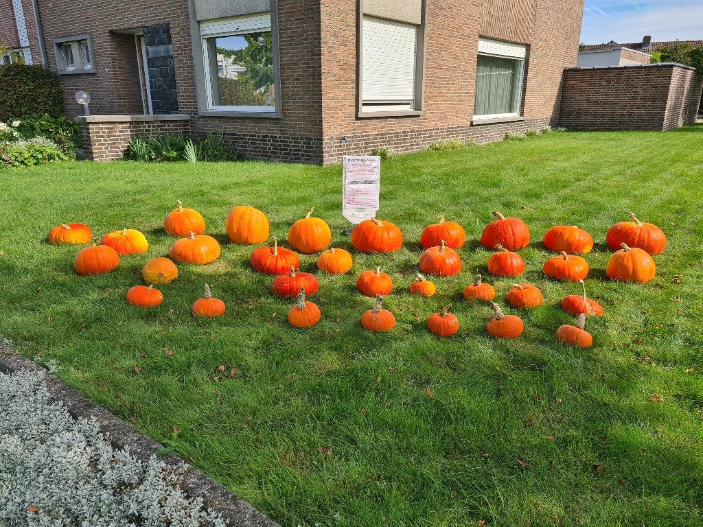 POMPOENEN, Enlèvement