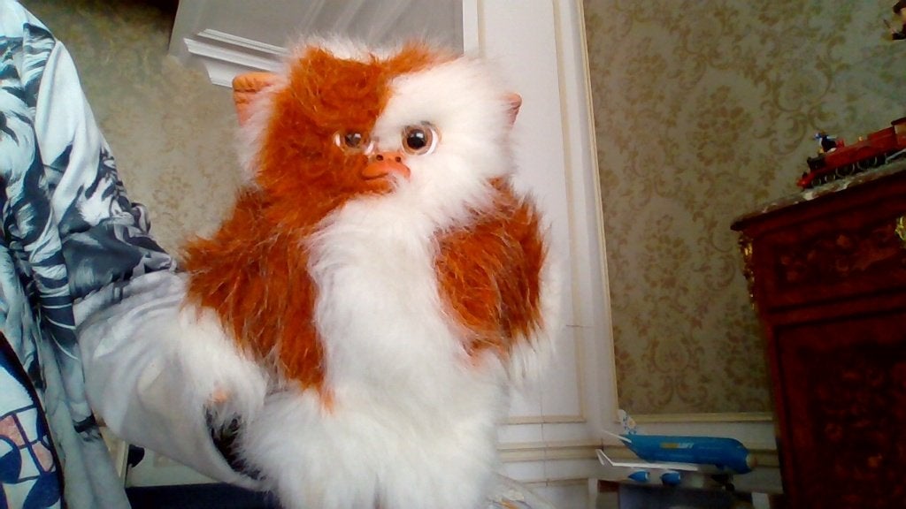 Peluche Gizmo (Quiron) n'oubliez pas a minuit!!!!, Enlèvement