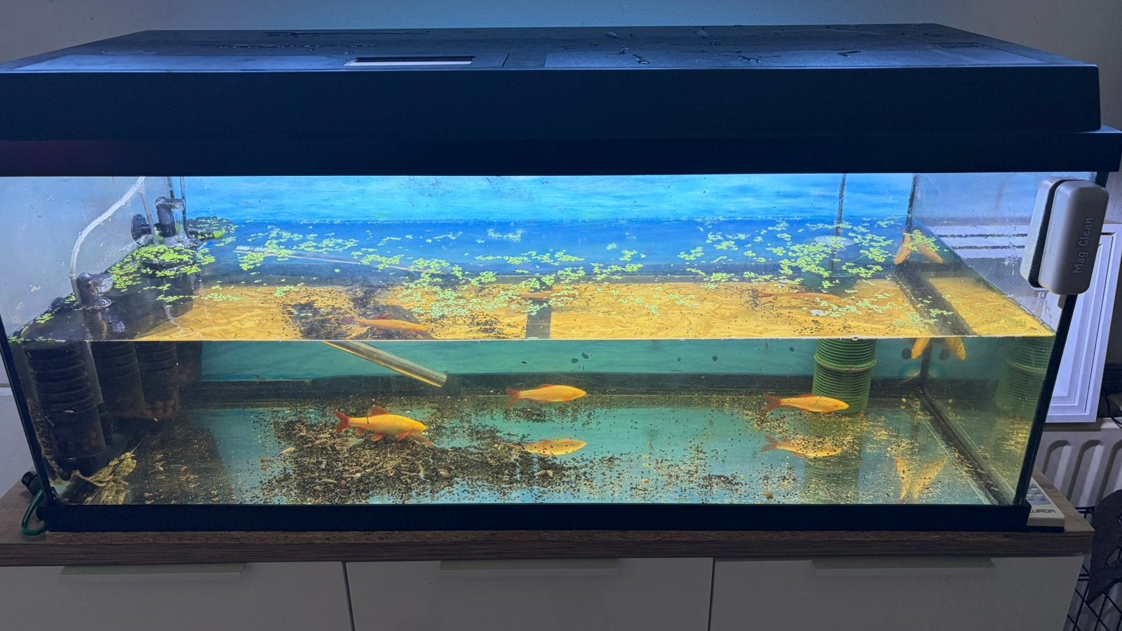 Aquarium. 160, Enlèvement, Comme neuf, Filter