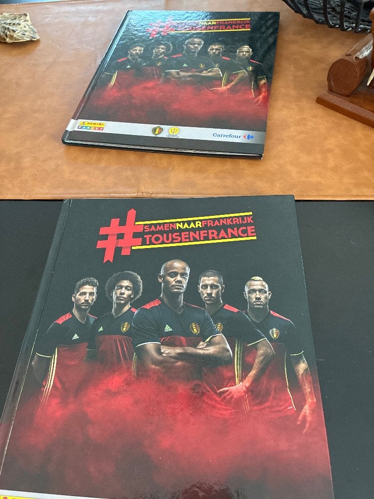 Partir en France ensemble (panini), Collections, Autocollants, Comme neuf, Sport, Enlèvement ou Envoi