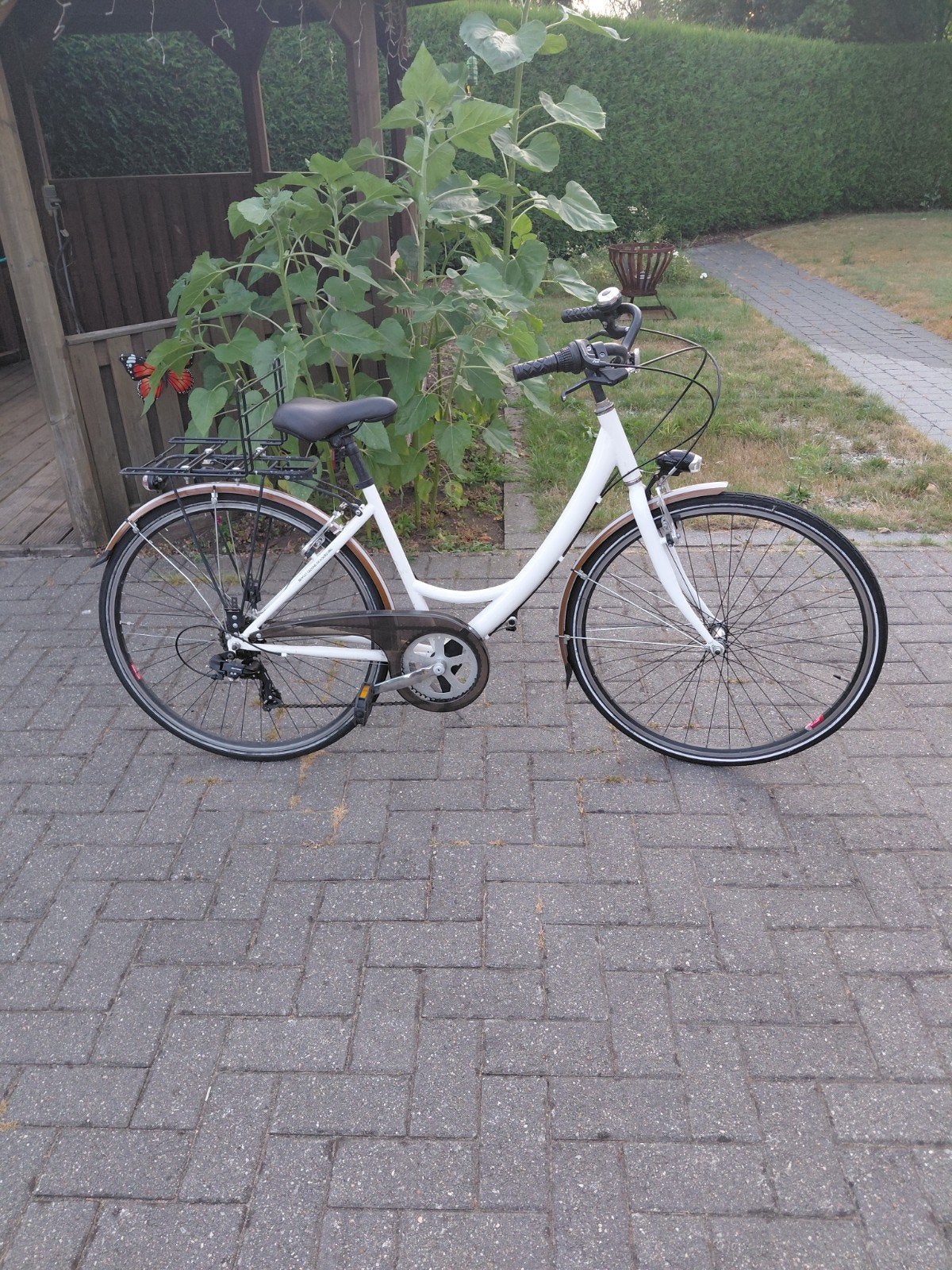 Meisjesfiets, Enlèvement