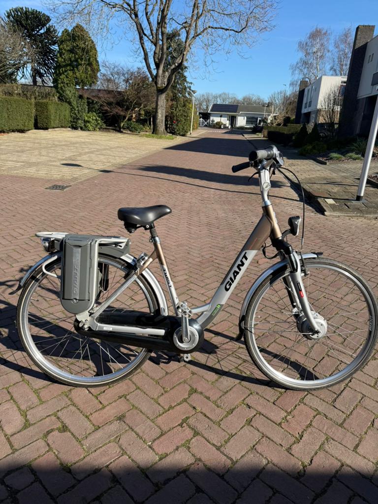 Giant Twist E-bike – dubbele accu, krachtige ondersteuning, Fietsen en Brommers, Ophalen of Verzenden, Zo goed als nieuw, Giant