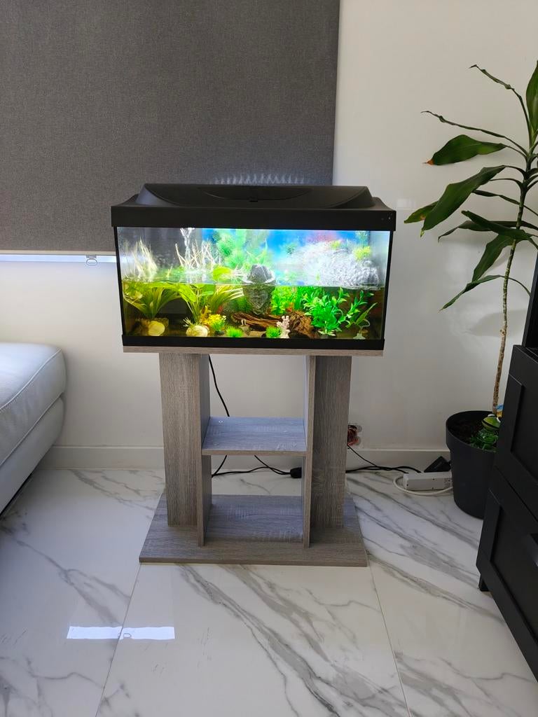 Aquarium complet avec armoire et grenouilles d'eau et crevet, Plantes incluses, Aquarium d'eau douce rempli, Comme neuf, Enlèvement