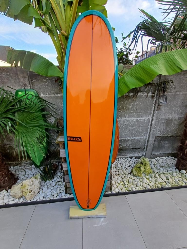 Bonlanza surfboard, Enlèvement