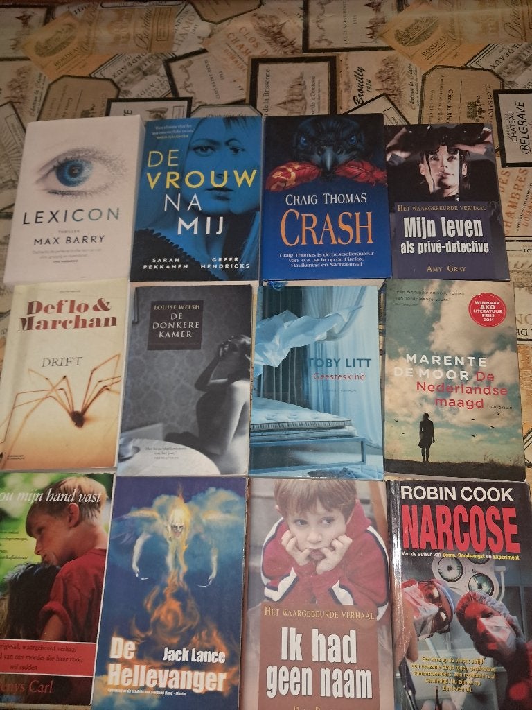 20 boeken - allerlei romans deel 2, Boeken, Ophalen, Gelezen