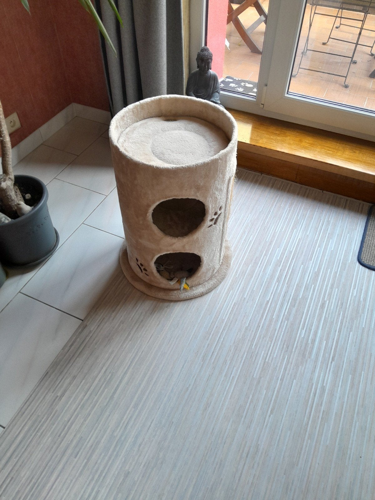 Cat, Animaux & Accessoires, Enlèvement