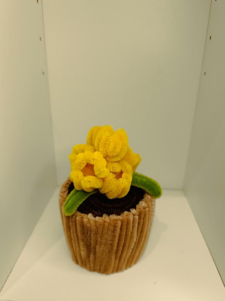 Tulpen potje, Ophalen of Verzenden