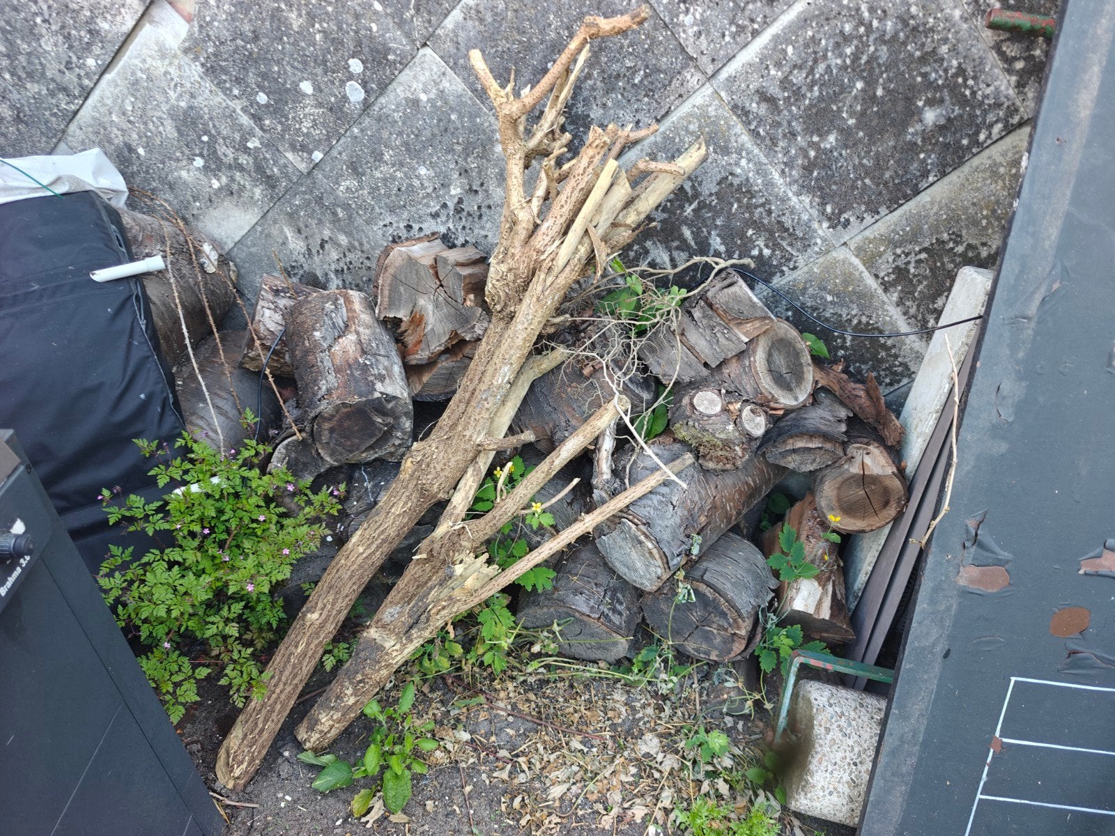 Bois de chauffage gratuit, Jardin & Terrasse, Enlèvement, Bûches