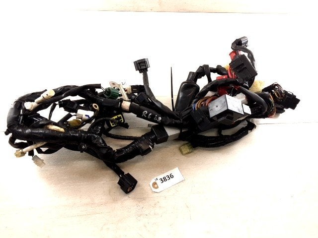 R6 2008 - 2010 Yamaha Kabelboom Kabelboom hoofd D1-46402