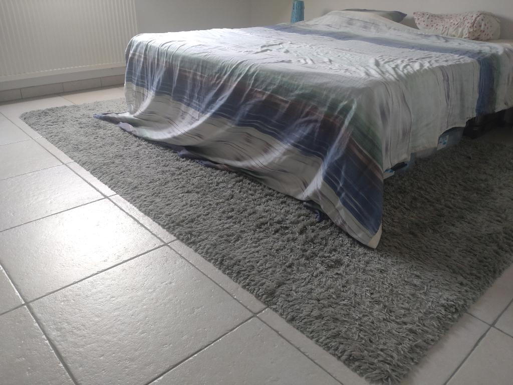 Tapijt Carpet Right Belfast Green, Hoogpolig, 200 cm ou plus, 200 cm ou plus, Utilisé