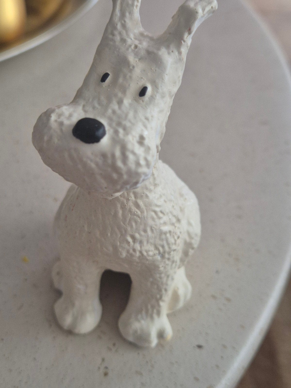 Tintin, le chien Snowy, Enlèvement ou Envoi, Tintin