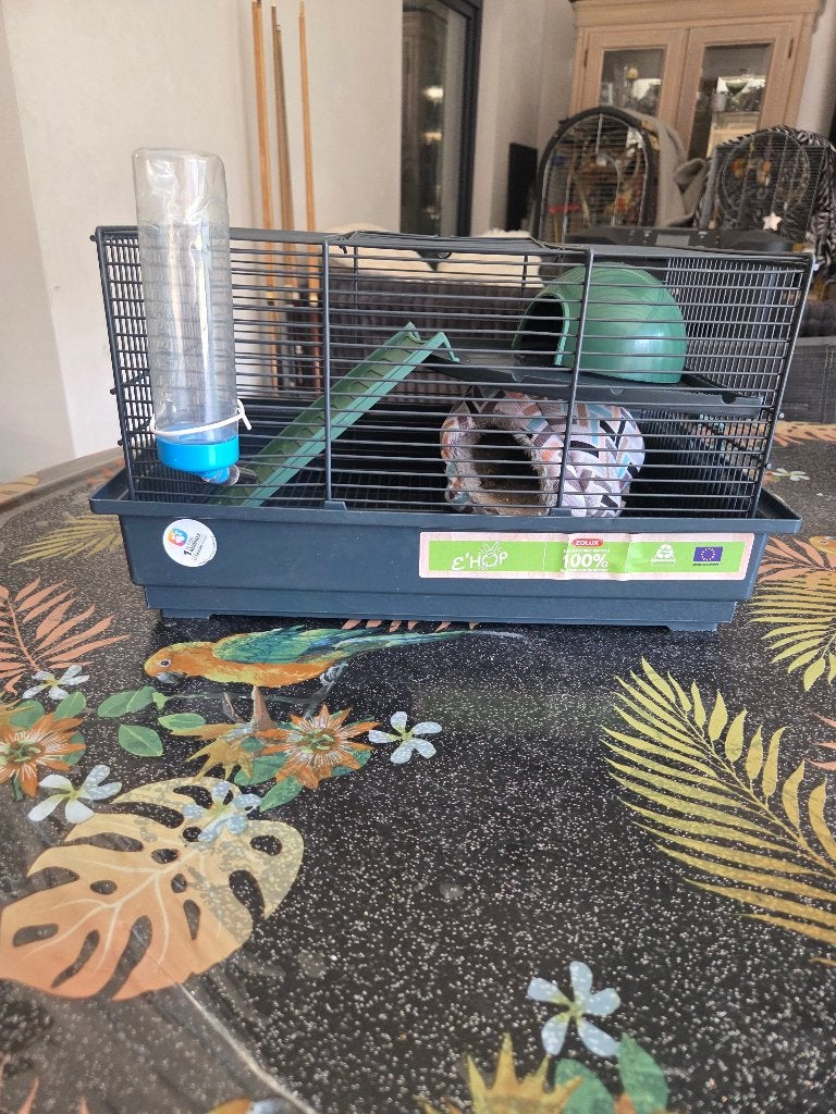 Cage à hamster, Enlèvement, Cage, Hamster