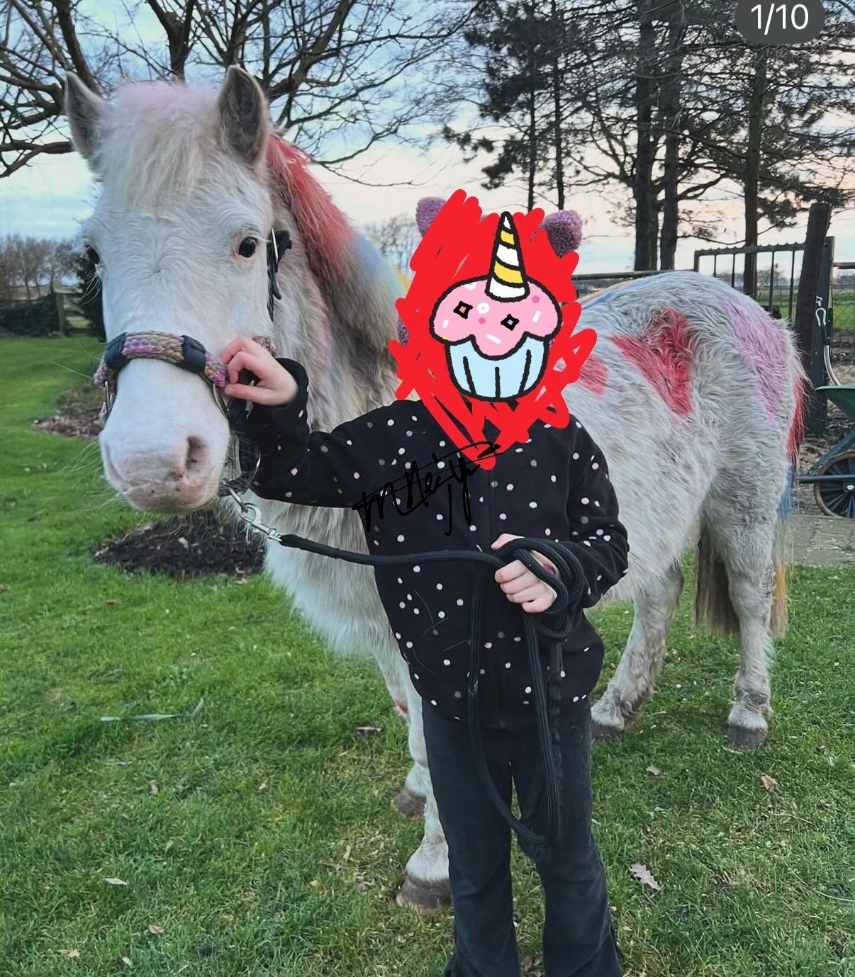 super brave few spot A kinderpony !, Dieren en Toebehoren, B, A pony (tot 1.17m), 11 jaar of ouder, Recreatiepony
