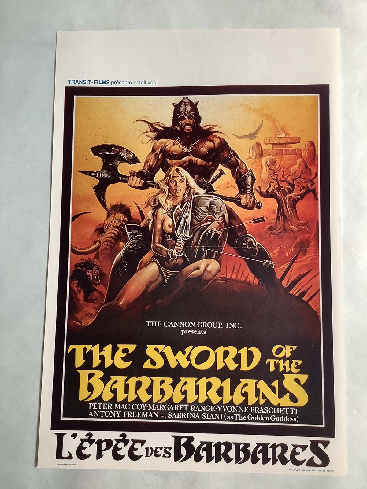 Affiche du film L'ÉPÉE DES BARBARES 36-54 cm, Collections, Enlèvement, Comme neuf