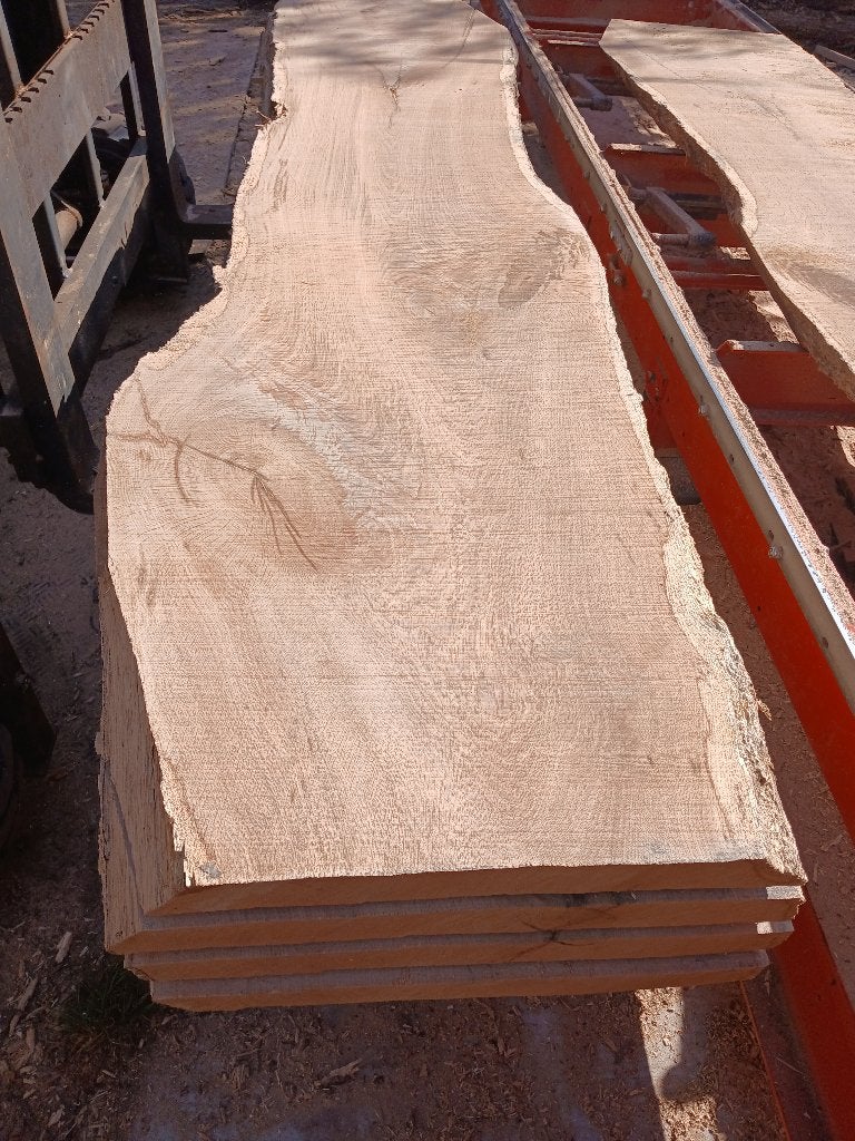 Inlandse Eiken stam op bool Gezaagd in 5 tafelbladen, Doe-het-zelf en Bouw, Ophalen, Eiken, Nieuw, 250 tot 300 cm