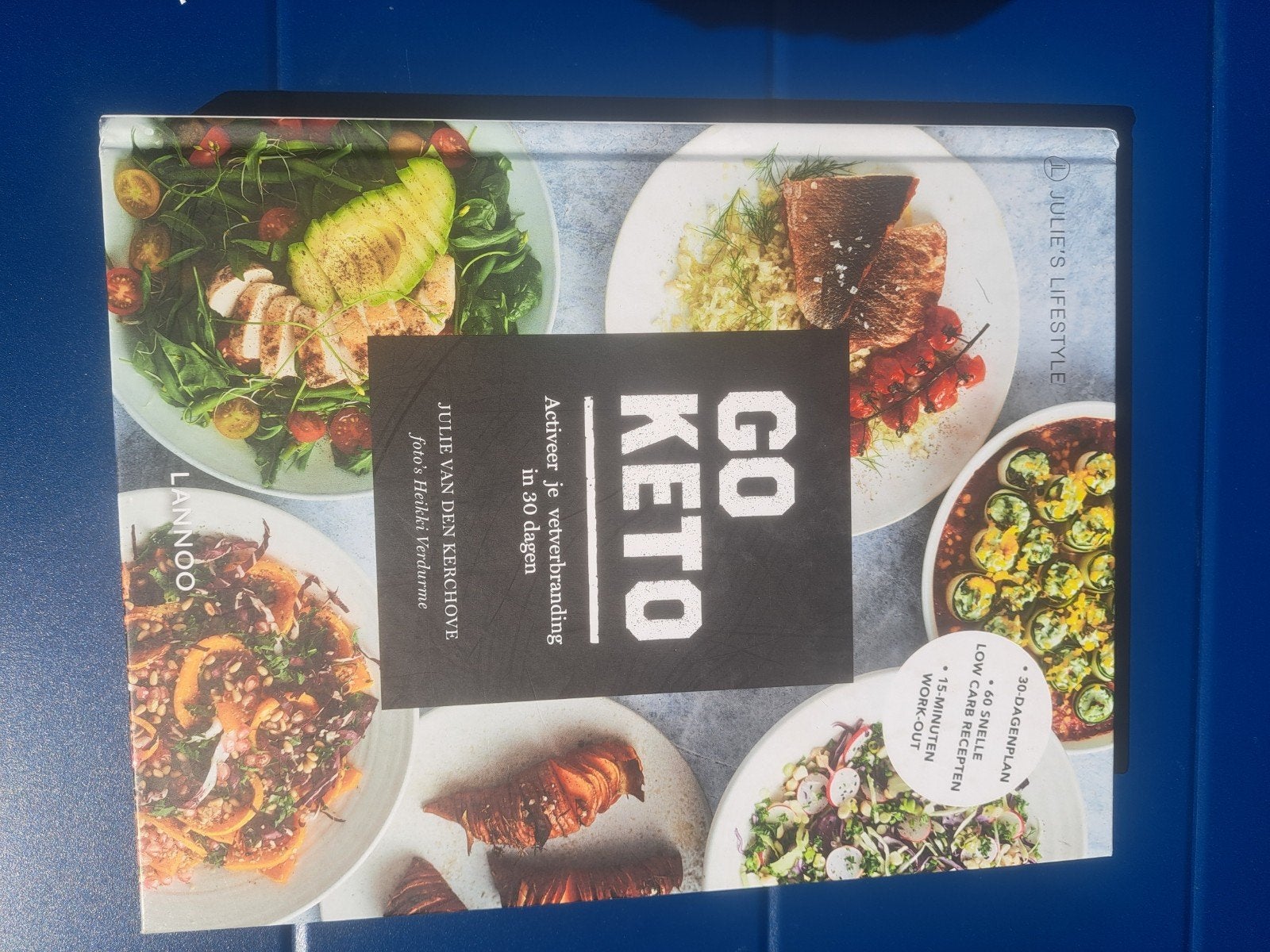 Julie Van den Kerchove - Go Keto, Boeken, Kookboeken, Ophalen of Verzenden, Julie Van den Kerchove, Frankrijk