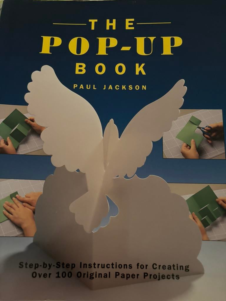 The Pop Up book, Ophalen of Verzenden, Zo goed als nieuw
