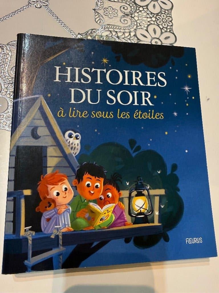Livre - Histoires du soir, Enlèvement, Comme neuf