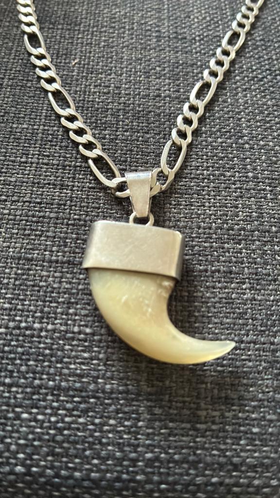Leeuw nagel met zilver haken, Ophalen of Verzenden, Zo goed als nieuw