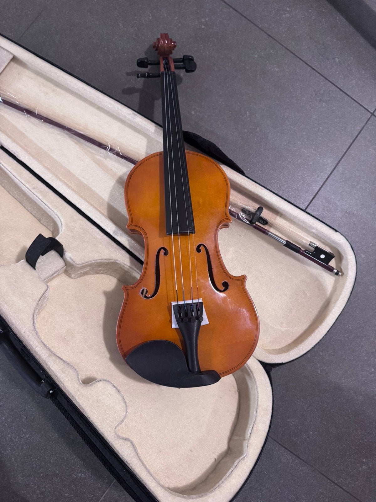 Nieuwe viool 4/4 met koffer & strijkstok – ongebruikt, Musique & Instruments, Enlèvement ou Envoi, Comme neuf, Violon, Avec valise