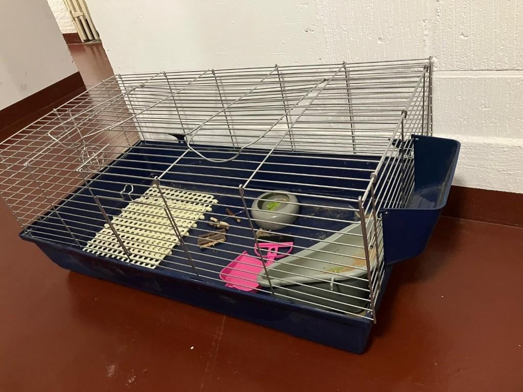 Kooi voor konijn, Moins de 60 cm, 75 à 110 cm, Cage, Comme neuf