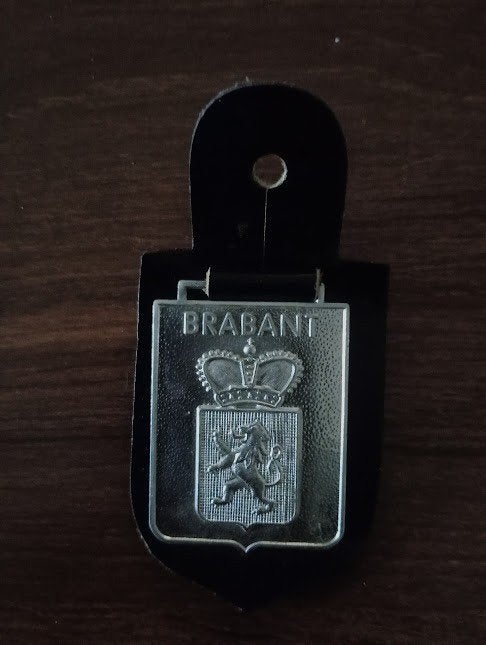 Oude provinciale politie Borstzakhanger, Verzamelen, Militaria | Algemeen, Ophalen of Verzenden, Rijkswacht, Embleem of Badge