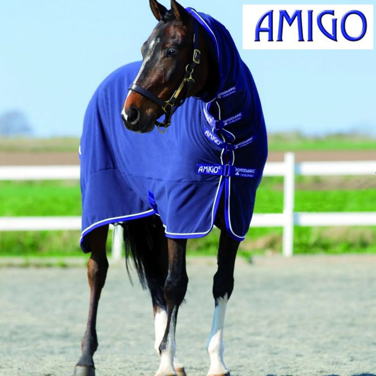 Gezocht: Amigo zweetdeken met nek, Dieren en Toebehoren, Meerkleurig, Zo goed als nieuw, Fleece, Ophalen of Verzenden
