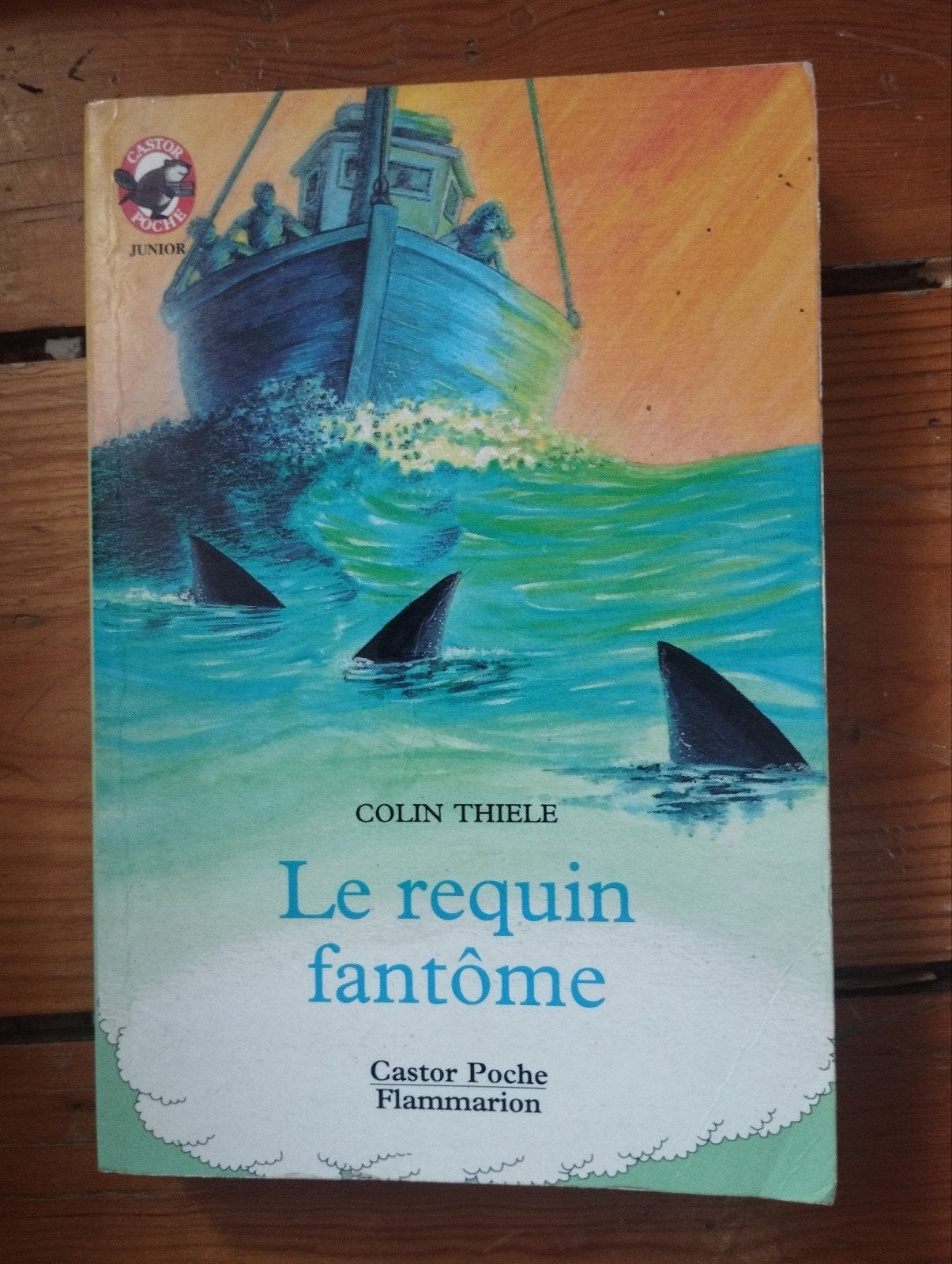 Colin Thiele Le Requin fantôme, Enlèvement ou Envoi