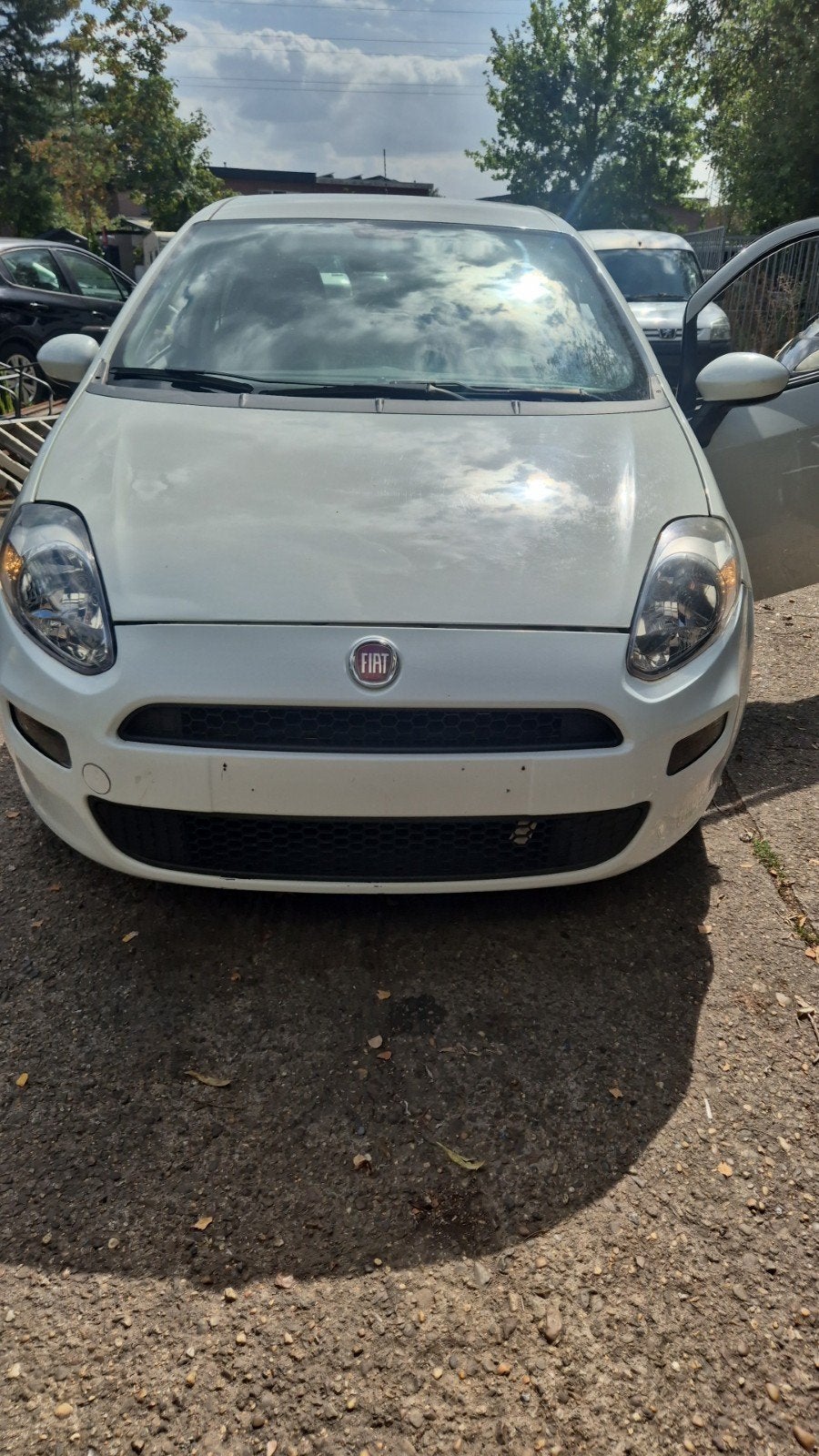 fiat punto, Auto's, Stof, Euro 6, Wit, Bedrijf