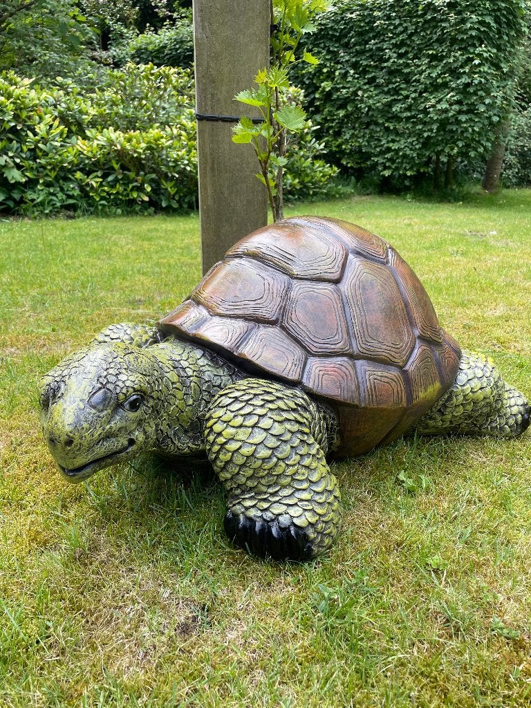 Beeld schildpad, gazon, tuin, vijver, 90 cm, Ophalen, Nieuw, Kunststof, Dierenbeeld