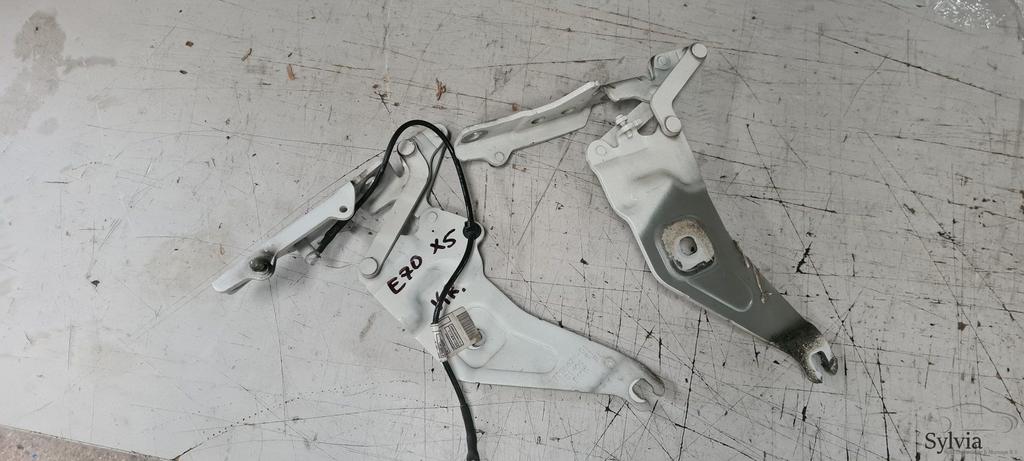 Motorkap scharnier set BMW X5 / X6 E70 E71 E72 41007198618, Auto-onderdelen, Carrosserie, Gebruikt, Ophalen of Verzenden