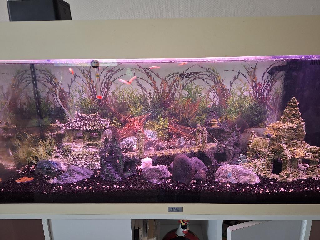 Aquarium 150L, Ophalen, Gebruikt, Leeg aquarium, Inclusief toebehoren