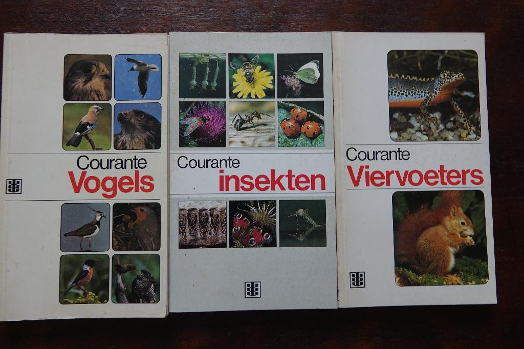 3 boekjes courante vogels , insekten en viervoeters, Livres, Nature, Enlèvement ou Envoi, Oiseaux