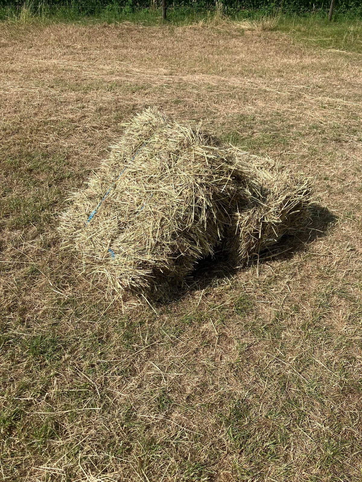Hooi, Dieren en Toebehoren, Ophalen