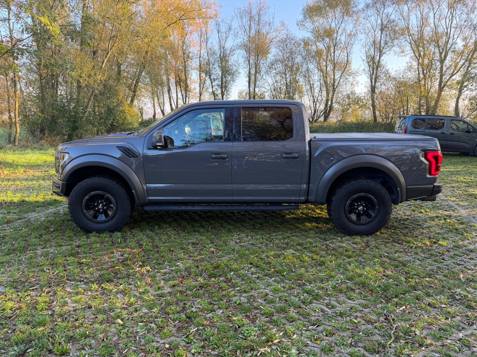 FORD F150 RAPTOR GEN 2, Bjj 2018 116538 km, Cuir, Argent ou Gris, Achat, 6 cylindres